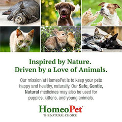 HomeoPet WRM Clear, Natural Worm Treatment for Dogs, Cats, and More, 15 Milliliters