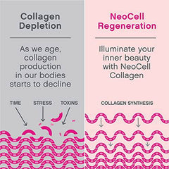 NeoCell Super Collagen Peptides Powder, 10 g Collagen per serving, Supports Healthy Hair, Skin, & Nails, 20 servings