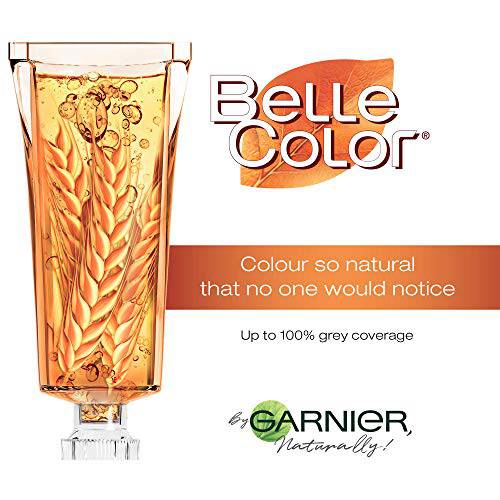 Garnier Belle Color ColorEase Crème Permament Haircolour, 1 pack - Zecoya