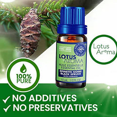 Lotus Aroma Black Spruce Essential Oil - MADE IN CANADA - BBDEO Premium Grade - Essential Oils for Diffusers Aromatherapy - 15 mL