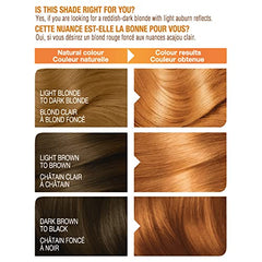 Garnier Belle Color Permanent Hair Dye, 75 Light Auburn, 100% Grey Coverage, Enriched with Argan Oil and Wheat Germ Oils - 1 Application, Packaging may vary