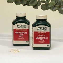 Adrien Gagnon - Glucosamine (Sulfate) for Joint Support, 500 mg, 360 (300+60 Bonus) Capsules