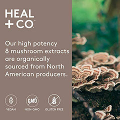 HEAL + CO. 8 Mushroom Immunity Tincture | 8 Medicinal Mushrooms – Chaga, Turkey Tail, Reishi, Shiitake, Cordyceps, Maitake, Lion’s Mane, Himematsutake | Supports Immune Health, Promotes Energy and Fights Stress | 50 mL