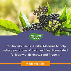 Nature's Way Kids Sambucus Cold and Flu Care – Elderberry Syrup with Echinacea and Propolis - Used in Herbal Medicine to Help Relieve Symptoms (Coughs and Sore Throats) in Children, 120 ml