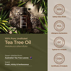 Gya Labs Pure Australian Tea Tree Oil for Skin, Hair, Face & Toenails (0.34 fl oz) - 100% Therapeutic Natural Melaleuca Tea Tree Essential Oil for Piercings, Scalp & Hair Growth