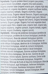 Orgain Nutrition Organic Sport Protein Powder - Chocolate 2.01 LB