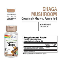 Solaray Organically Grown Fermented Chaga Mushroom 500 mg | Healthy Immune Function Support | 30 Servings | 60 VegCaps