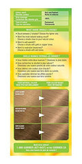 Garnier Nutrisse Cream, Permanent Hair Colour, 81 Medium Ash, 100% Grey Coverage, Nourished Hair Enriched With Avocado Oil, 1 Application