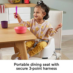 Fisher-Price Portable Toddler Dining Chair Simple Clean & Comfort Booster with Contoured Seat and Harness, Panda