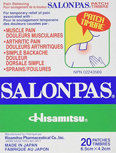 Salonpas Pain Relieving Patch – 20 Patches