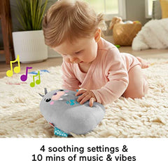 Fisher-Price Chill Vibes Walrus Soother, Take-Along Musical Plush Toy with Calming Vibrations for Infants