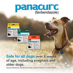 Panacur C Canine Dewormer (Fenbendazole), 4 Gram