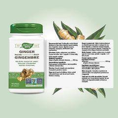 Nature's Way Ginger Root, Relieves Gastrointestinal Discomfort, 100 Vegetarian Capsules