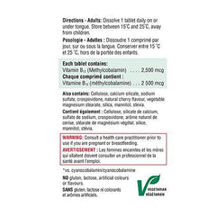 Jamieson Vitamin B12 Methylcobalamin 2,500 mcg High Potency Fast-Dissolving Tablets - Travel Size (Packaging May Vary)