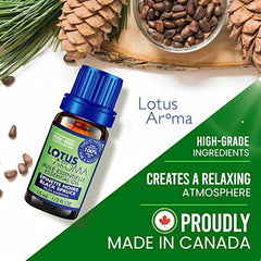 Lotus Aroma Black Spruce Essential Oil - MADE IN CANADA - BBDEO Premium Grade - Essential Oils for Diffusers Aromatherapy - 15 mL