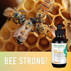 Bee Propolis Liquid Alcohol Free