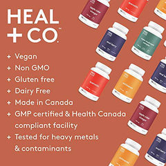 HEAL + CO. Reishi Supplement | High Potency 4:1 extract, 4000 mg per serving | Stress + Immunity | 120 x 500 mg Capsules