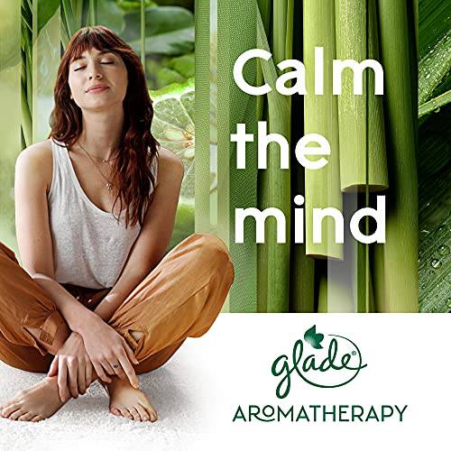 Glade Essential Oil Diffuser Refill, Use with Cool Mist Aromatherapy Diffuser, Air Freshener for Home, Find Clarity Scent with Notes of Bergamot & Lemongrass, 1 Count