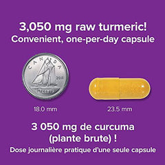 Webber Naturals Turmeric Curcumin, 3,050 mg of Raw Herb, 120 Capsules, Antioxidant Support, Vegan - Zecoya