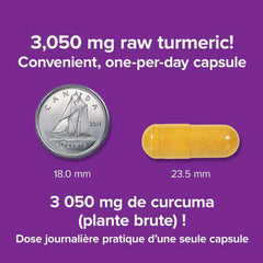 Webber Naturals® Turmeric Curcumin 3,050 mg (raw Herb) - Zecoya