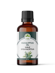 Yogti [Canadian Brand] Eucalyptus Essential Oil 30ml