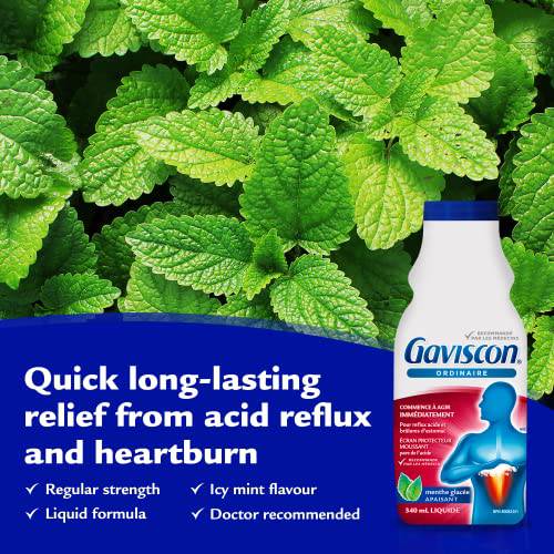 Gaviscon Liquid Regular Strength Antacid - 340 ml - Antacid Liquid for Day and Night Heartburn Relief, Acid Reflux and GERD Relief, Icy Mint - Free of Aluminum, Lactose and Gluten