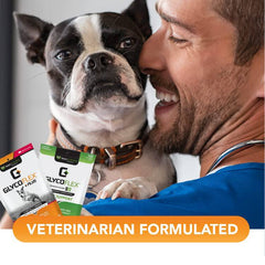 VetriScience Laboratories GlycoFlex 2, Hip and Joint Supplement for Dogs, Bite Sized Chews, 120 CT