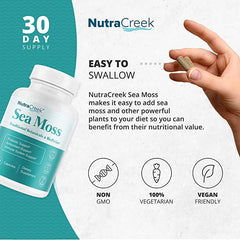 NutraCreek Sea Moss | 1 Month of Bladderwrack and Sea Moss Pills - 60 Capsules - Zecoya