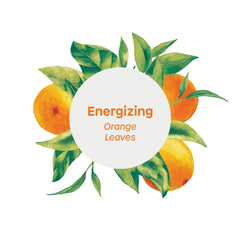 ATTITUDE Body Cream, EWG Verified, Hypoallergenic, Plant and Mineral-Based Ingredients, Vegan and Cruelty-free Beauty and Personal Care Products, Energizing, Orange Leaves, 240 ml