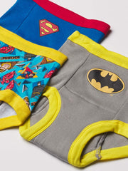 DC Comics 3PK, 7PK and 10PK Potty Training Pants with Superman, Batman, Wonder Woman and More with Stickers Sizes 2T, 3T, and 4T