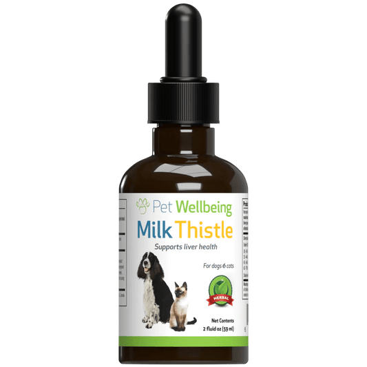 Milk Thistle - for Healthy Liver Function in Dogs - Pet WellBeing