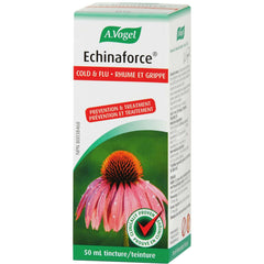 Echinaforce Immune Support for cold and flu