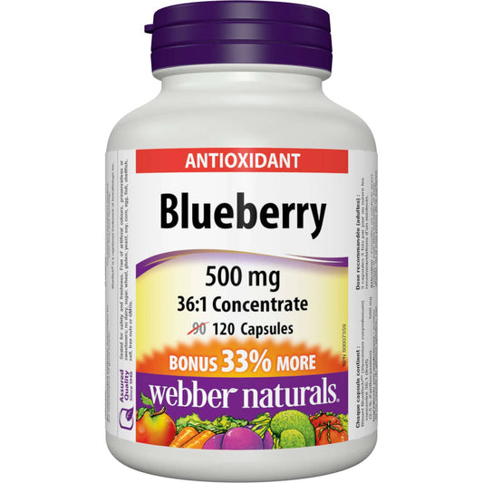 Blueberry 500 mg 36:1 Concentrate - Zecoya