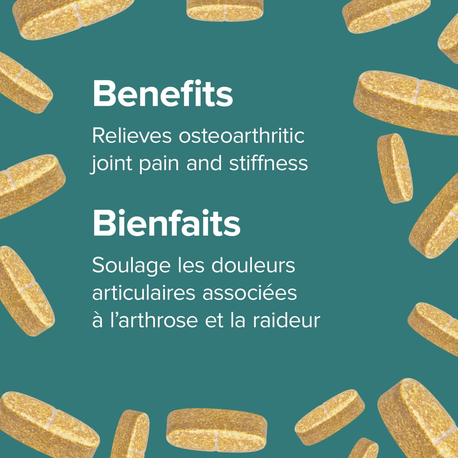 Osteo Joint Ease® with InflamEase® and Glucosamine Chondroitin MSM - Zecoya